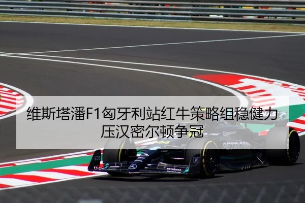 维斯塔潘F1匈牙利站红牛策略组稳健力压汉密尔顿争冠