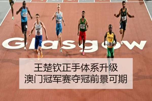 王楚钦正手体系升级 澳门冠军赛夺冠前景可期
