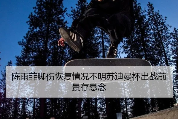 陈雨菲脚伤恢复情况不明苏迪曼杯出战前景存悬念